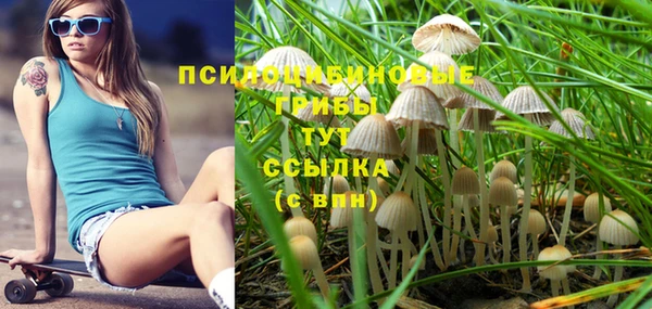 гашиш Аркадак