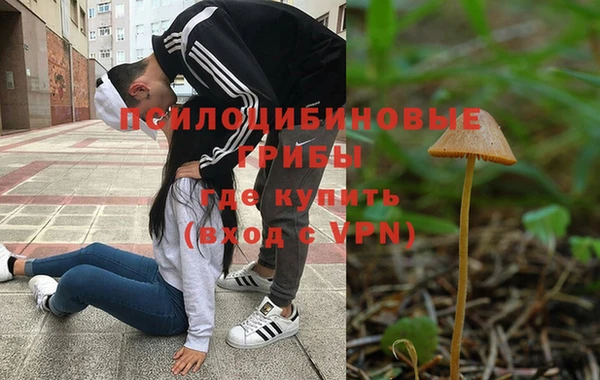 PSILOCYBIN Армянск