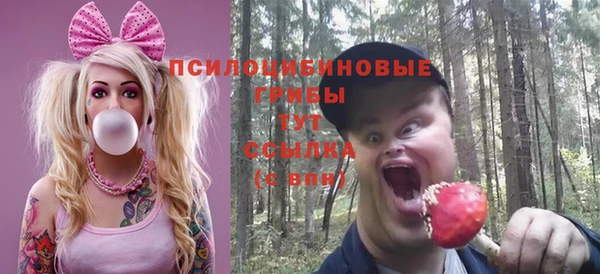 экстази Арсеньев