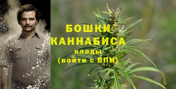 PSILOCYBIN Армянск