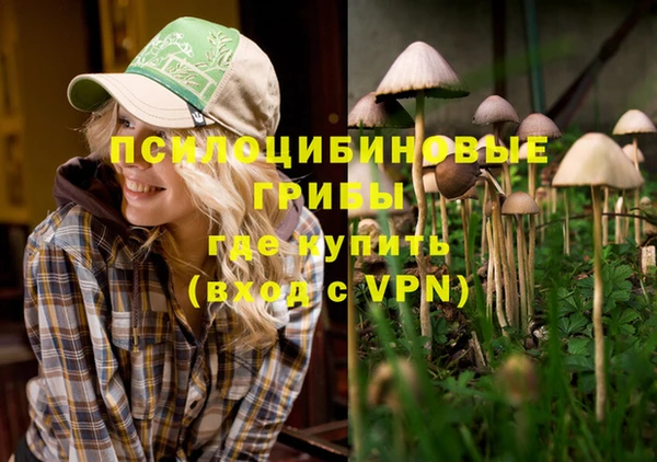 гашиш Аркадак