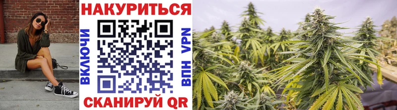 Бошки марихуана Ganja Белая Холуница